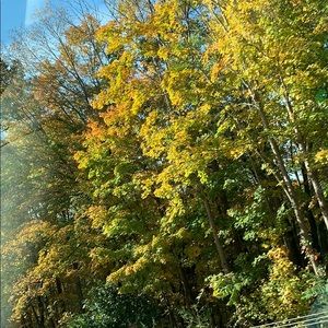 Meet your Posher, Kari